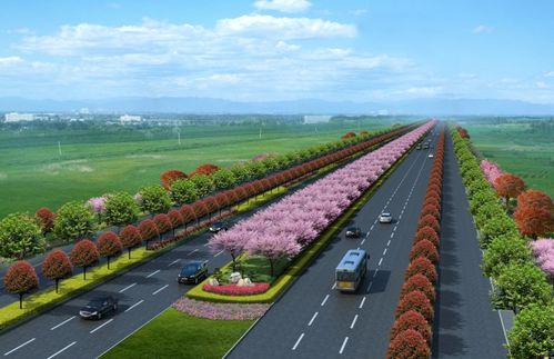 新機場大道景觀綠化工程正式開工，打造城市生態走廊